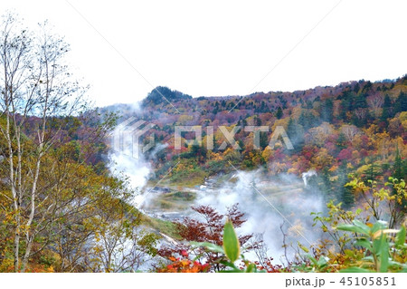 八幡平 蒸ノ湯温泉のカラフル紅葉と源泉のコラボ 八幡平 蒸ノ湯温泉のカラフル紅葉と源泉のコラボ 45105851
