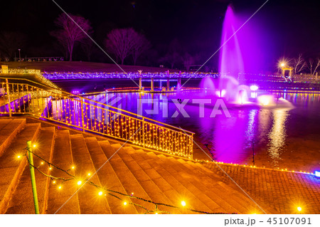 群馬県　ぐんまフラワーパーク イルミネーションフェスタ 45107091