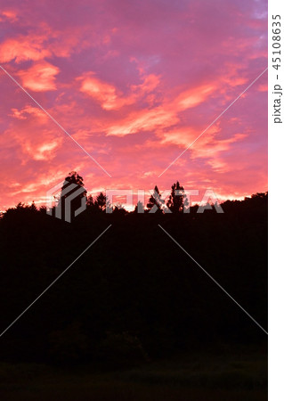 黒澤湿原の夕焼け 45108635