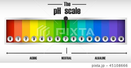 The ph scale diagram 45108666