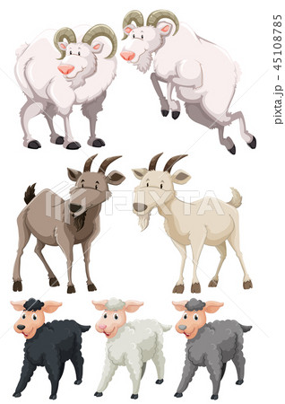 Set of goats and sheep Set of goats and sheep 45108785
