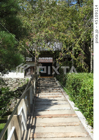 谷性寺の参道 谷性寺の参道 45109114