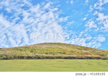 色付く若草山 45109195