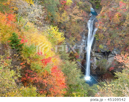 駒止の滝と紅葉 駒止の滝と紅葉 45109542