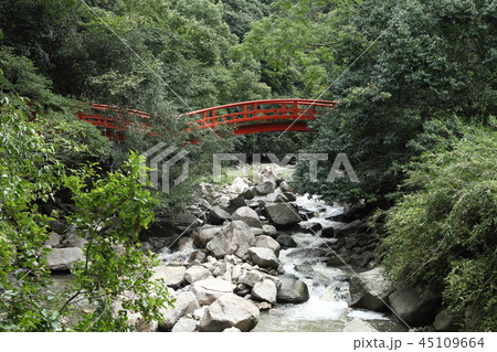 太山寺川に架かる閼伽井橋 45109664
