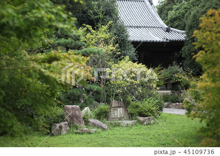 太山寺の庭 45109736
