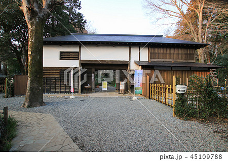 お鷹の道 45109788