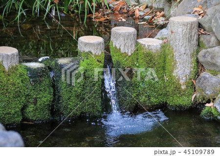 お鷹の道 お鷹の道 45109789