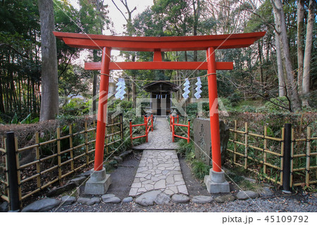 お鷹の道 お鷹の道 45109792