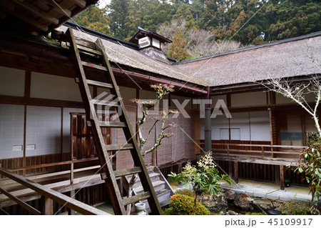高野山より 高野山より 45109917