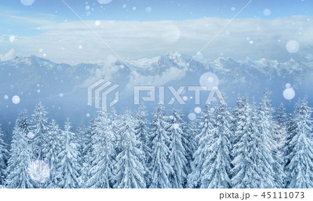 Mysterious winter landscape majestic mountains in the Mysterious winter landscape majestic mountains in the 45111073