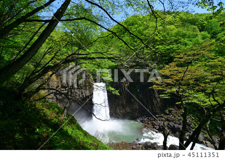 苗名滝 5月 苗名滝 5月 45111351