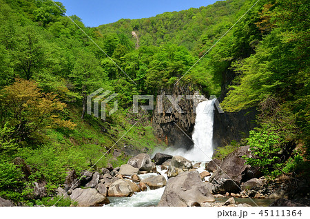 苗名滝 5月 苗名滝 5月 45111364