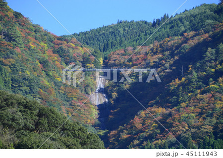 白水自然公園 45111943