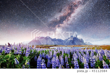 The picturesque landscapes of forests and mountains Iceland. The picturesque landscapes of forests and mountains Iceland. 45112084