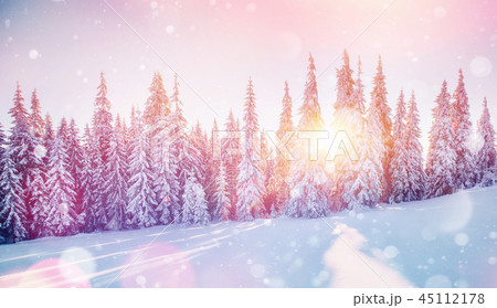 Sunlight breaks through the tree crown in the mountains. Photo g 45112178