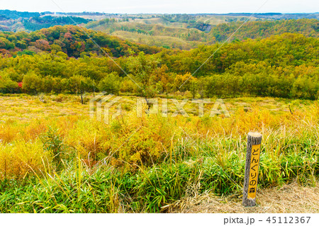 平野台高原の草紅葉　【熊本県阿蘇郡南小国町】 45112367