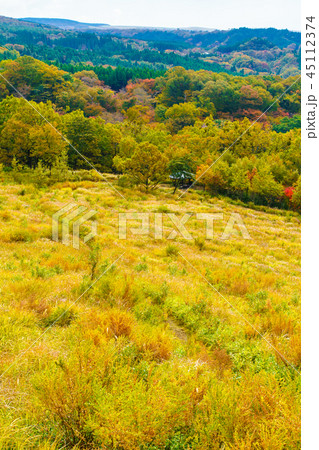 平野台高原の草紅葉 【熊本県阿蘇郡南小国町】 平野台高原の草紅葉 【熊本県阿蘇郡南小国町】 45112374