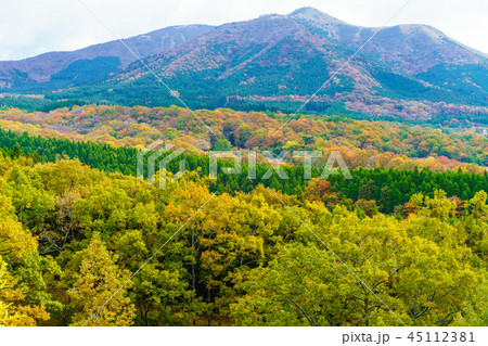 平野台高原の草紅葉 【熊本県阿蘇郡南小国町】 平野台高原の草紅葉 【熊本県阿蘇郡南小国町】 45112381