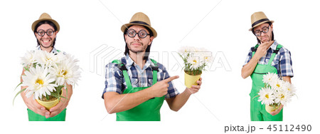 Man gardener with flowers on white 45112490
