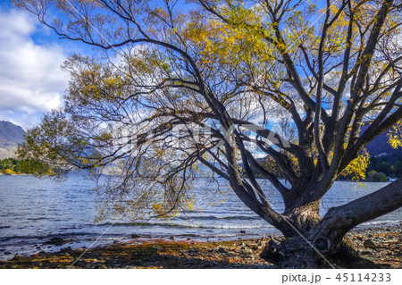 Lake Wakatipu, New Zealand 45114233