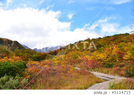 錦秋のアルプス平自然遊歩道 45114715