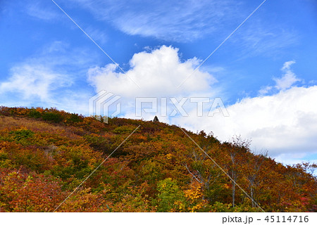 アルプス平自然遊歩道から見上げる地蔵ケルン アルプス平自然遊歩道から見上げる地蔵ケルン 45114716