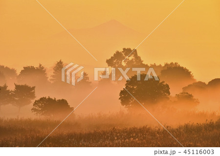 朝焼けの霧立つ渡良瀬遊水地と筑波山 45116003