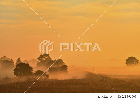 朝焼けの霧立つ渡良瀬遊水地と筑波山 45116004