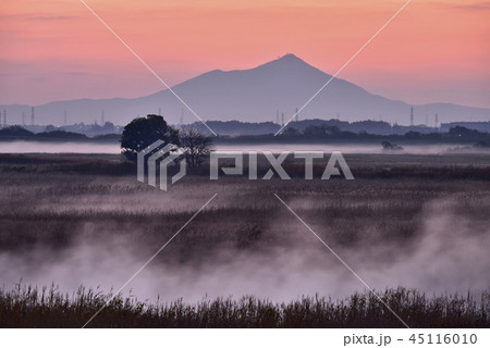 朝焼けの霧立つ渡良瀬遊水地と筑波山 朝焼けの霧立つ渡良瀬遊水地と筑波山 45116010