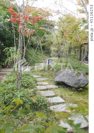 秋の日本庭園 秋の日本庭園 45116253