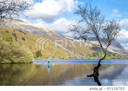 Lady using her surfboard for standup paddling Lady using her surfboard for standup paddling 45116763