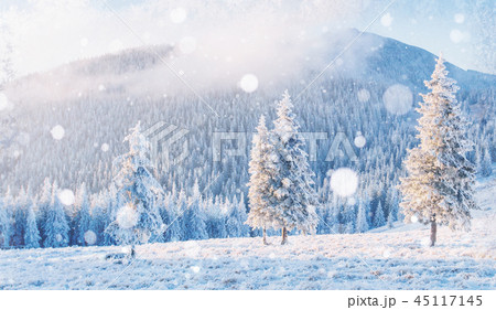 winter landscape trees and fence in hoarfrost, background with s winter landscape trees and fence in hoarfrost, background with s 45117145