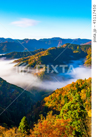 おにゅう峠 紅葉 早朝 おにゅう峠 紅葉 早朝 45117450