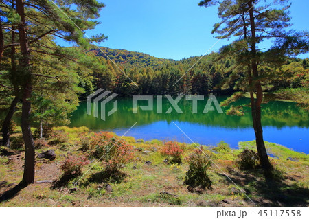 長野県 秋の御射鹿池 45117558