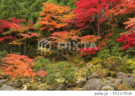 箱根美術館の紅葉 45117918