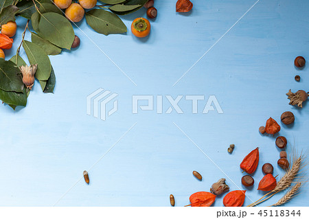 autumn yellow and Red leaves and fruits on a grey background 45118344