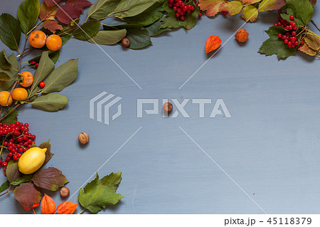 autumn yellow and Red leaves and fruits on a grey background 45118379