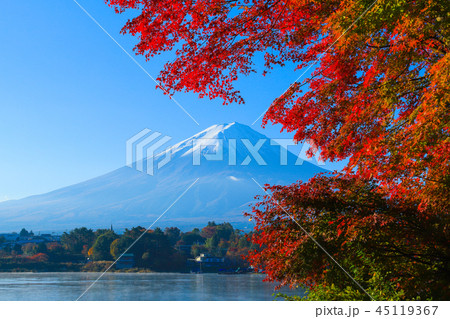 富士山と紅葉　河口湖 45119367
