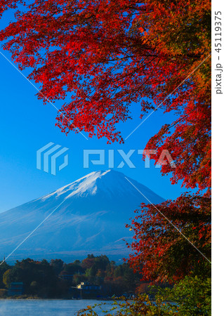 富士山と紅葉 河口湖 富士山と紅葉 河口湖 45119375