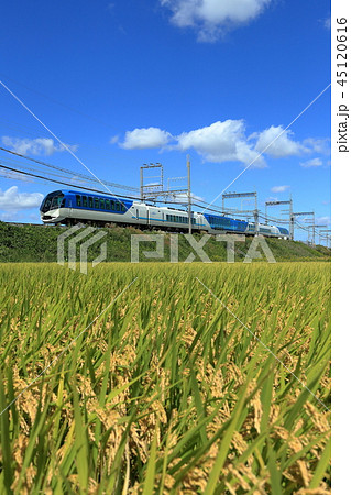 しまかぜ 45120616