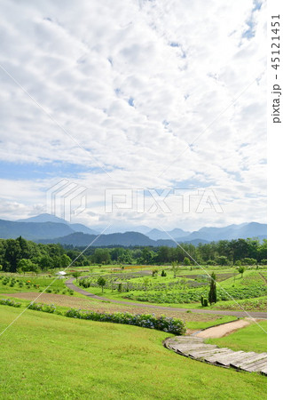 芦沢高原ハーバルパーク(新潟県) 芦沢高原ハーバルパーク(新潟県) 45121451