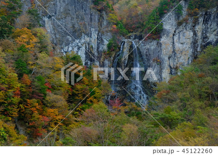 秋の迷滝(奈良県五條市大塔) 秋の迷滝(奈良県五條市大塔) 45122260