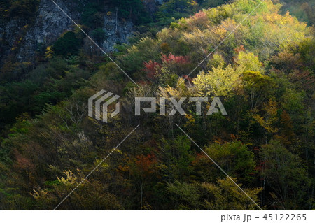 秋の迷滝（奈良県五條市大塔） 45122265