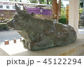 亀戸天神 45122294