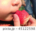 イチゴ狩りの子ども 45122598