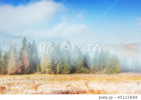 Winter landscape glowing by sunlight. Dramatic scene. Scenic fog 45122689