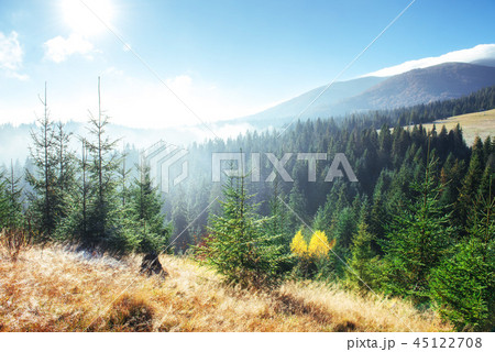 Winter landscape glowing by sunlight. Dramatic scene. Scenic fog Winter landscape glowing by sunlight. Dramatic scene. Scenic fog 45122708