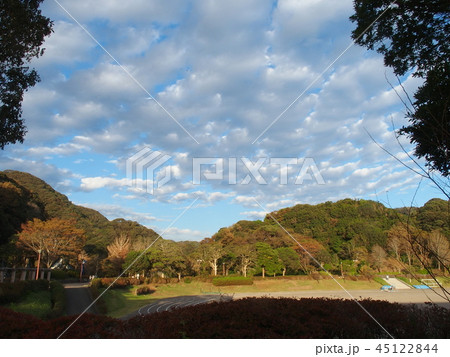秋の敷根公園 45122844