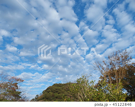 秋空 45122846